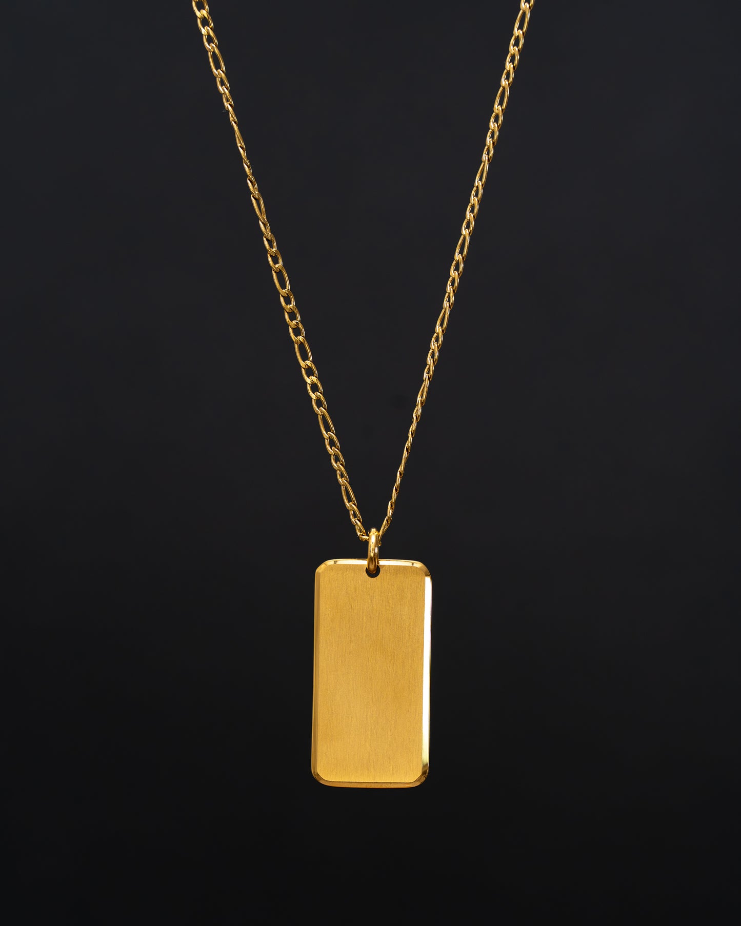 Dogtag figaro gull